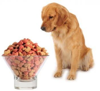 mâncare pentru câini hipoalergenice
