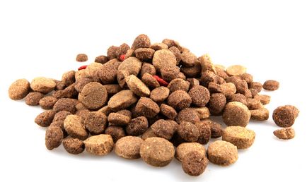 mâncare pentru câini hipoalergenice