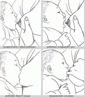 Cum de a pune nou-născut