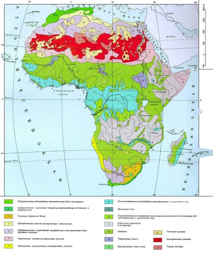 Care crește în Africa