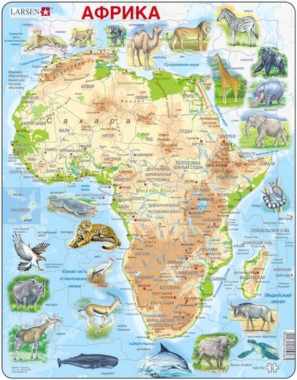 Care crește în Africa
