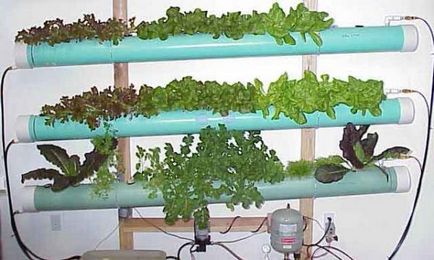 beneficii Aeroponics, tehnici, echipamente