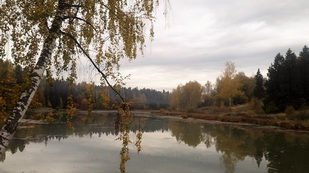 Ce aștept de la întâlnirea cu România pentru a deschide România (România) Ce aștept de la întâlnirea cu România pentru a deschide România