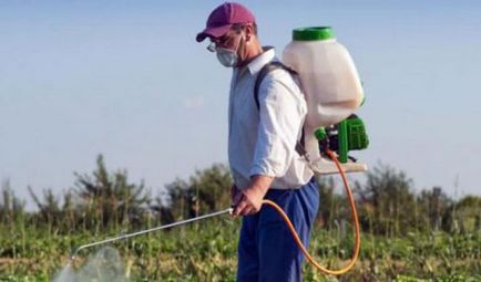 Cartofii de pulverizare de la gândacul Colorado, grădinar (spray) Cartofii de pulverizare din Colorado gândacului, grădinar
