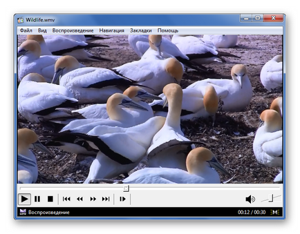 Cum de a deschide wmv (Windows Media Player) Cum de a deschide wmv