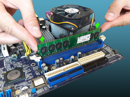 Date de contact perie de memorie cu acces aleator (RAM) Date de contact perie RAM