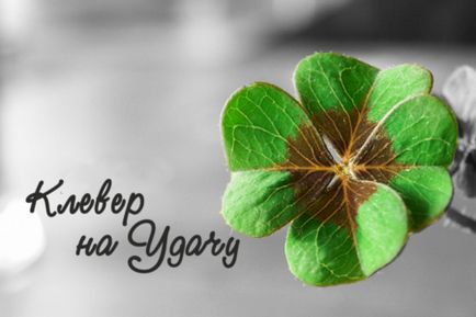Trifoi cu patru foi - un simbol de noroc!