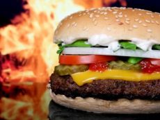 Cheeseburger la domiciliu 1