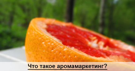 Ce este Aromamarketing și cum să-l folosească (utilizare) Ce este Aromamarketing și cum să-l folosească