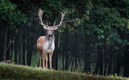 Ce este biosfera și ceea ce se face (biosferă) Ce este biosfera și ce se face