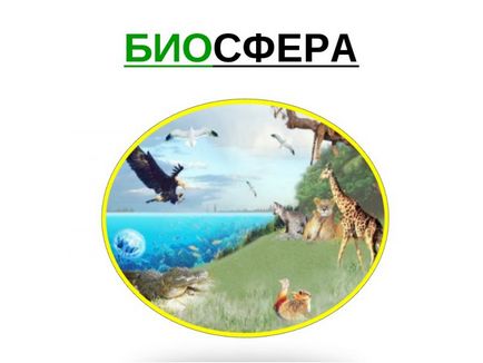 Care este definiția Biosfera (definiție) Care este definiția Biosferei