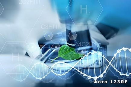 Ce este biotehnologia (biotehnologie) Ce este Biotehnologie