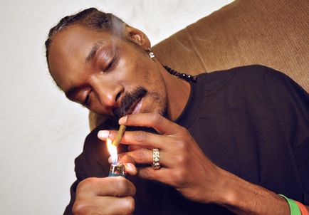 Ce este Blunt