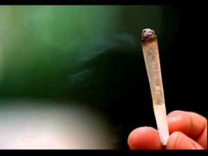 Ce este Blunt cum să facă și cum să se răsucească Blunt
