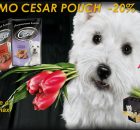 Ce este kbr de îngrijire pentru animale de companie catsan® (catsan) Ce este de companie catsan® de îngrijire kbr