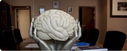 Ce este un diagnostic și de corecție neuropsihologice (diagnosticare) Ce este un diagnostic neuropsihice și de corecție