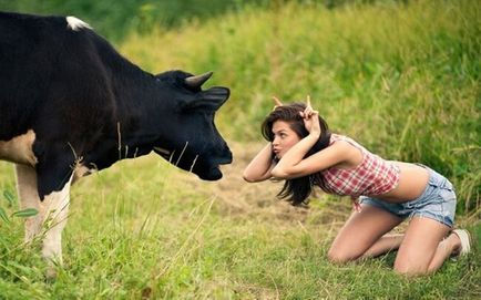 Care este știința animalelor