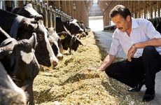 Care este știința animalelor (ceea ce creșterea animalelor) Care este știința animalelor