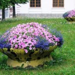 Flori de gradina (48 fotografii), în special frumoase grădini de flori, cum să faci o movilă de flori, foto și video