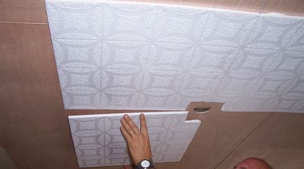 Decorul de tavan cu materialele sale mâini și opțiuni de proiectare (50 poze)