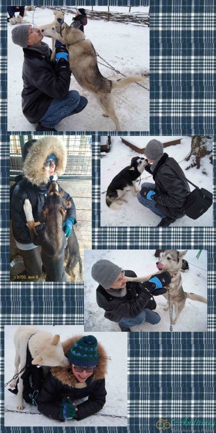 Excursie la canisa husky și câini de sanie - andiriney (altele) Excursie la canisa husky și câini de sanie - andiriney