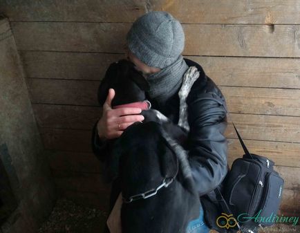 Excursie la canisa husky și câini de sanie - andiriney (Husky) Excursie la canisa husky și câini de sanie - andiriney