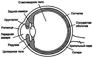 Ochiul ca instrument optic