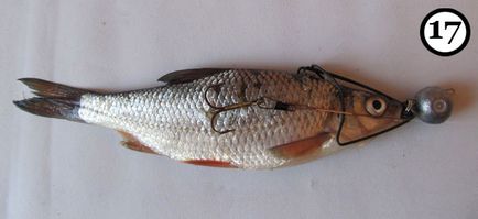 Ce o mai bună momeală - naturale sau artificiale - pescuitul prădător pe snastochku cu pești morți