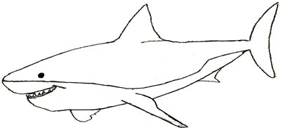 Cum de a desena un rechin, desen rechin etape creion