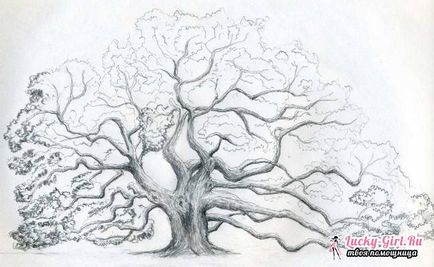 Cum de a desena un copac-pas sfaturi
