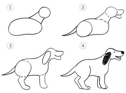 Cum de a desena un câine în etape creion