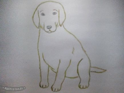 Cum de a desena un câine în etape creion