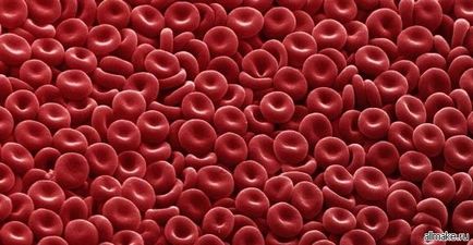Cum de a determina sexul copilului pe masa, grupa de sânge, data concepției