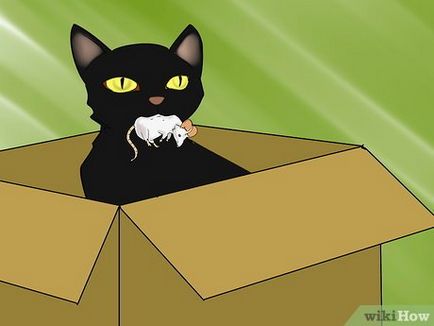 Cum de a încetini prea repede absorbi mancare pentru pisici