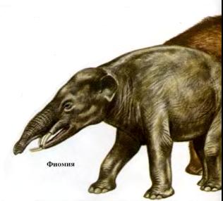 Cum a făcut evoluția lumii animale, dinozauri, evolutie