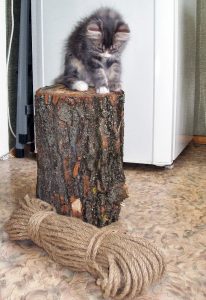 Cum sa faci un post scratching pentru pisica cu propriile sale mâini (50 poze) kogtedralka din lemn, cu o casa dryapka