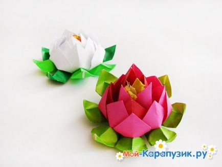 Cum de a face floare de hârtie de lotus din mâinile lui