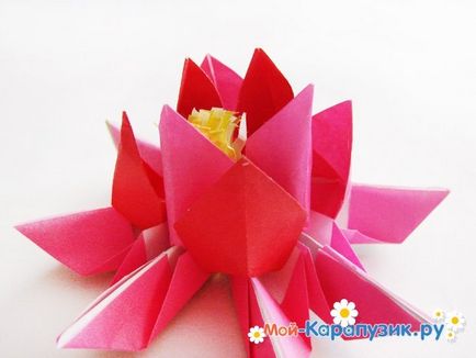 Cum de a face floare de hârtie de lotus din mâinile lui