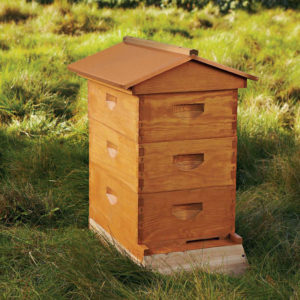 Cum sa faci un stup pentru albine, iar unele materiale pentru o mai bună