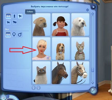 Cum se instalează în sims Sims 3 sims3pack și formatul SIM