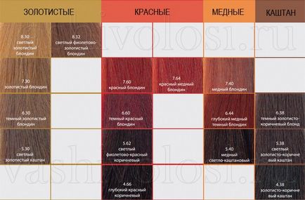 vopsea Kaaral, paleta, vopsea, parul (păr) vopsea Kaaral, paleta, vopsea parul tau