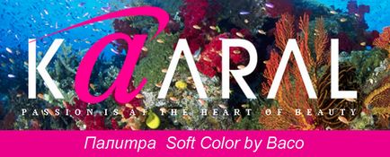 vopsea Kaaral, paleta, vopsea, parul (kaaral) vopsea Kaaral, paleta, vopsea parul tau