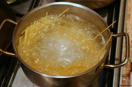 caserola paste de pui (bunica Aceasta ar servi masa) caserola de pui de macaroane