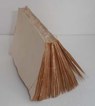 pad scrapbooking Master class cu mâinile (master) notebook-uri scrapbooking Master class cu propriile lor mâini