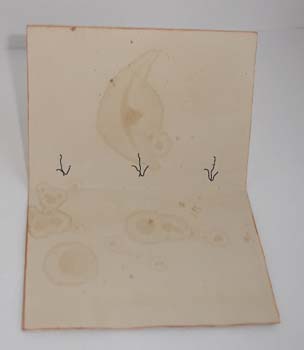 pad scrapbooking Master class cu mâinile (master) notebook-uri scrapbooking Master class cu propriile lor mâini