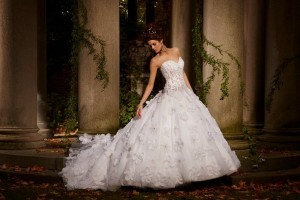 Visele devin realitate! rochie de mireasa luxuriant cu o buclă de toate avantajele și dezavantajele (rochie) Visele devin realitate! rochie de mireasa magnifica cu un tren toate avantajele și dezavantajele