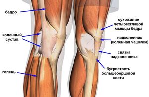 durere acută în genunchi - de ce apare, și pulsatilă bruscă în articulația genunchiului