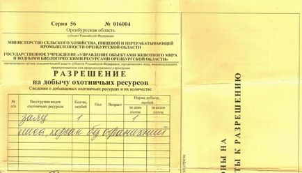 vânătoare iepure iarna cu abordarea (cel mai des utilizate) Vânătoare iepurele iarna cu abordarea