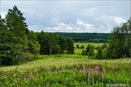 excursie pe jos de vară Wildflowers în iulie dealuri suburbii la râul Dubna