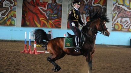 Profesie unchiul Stepan - polițiști polițist (milițienii) Profesie unchiul Stepan - poliție polițist